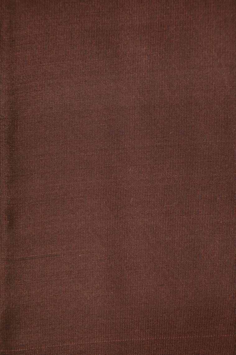 Cinnamon Brown Soft Silk Saree with Copper Zari Floral Patterns view 3