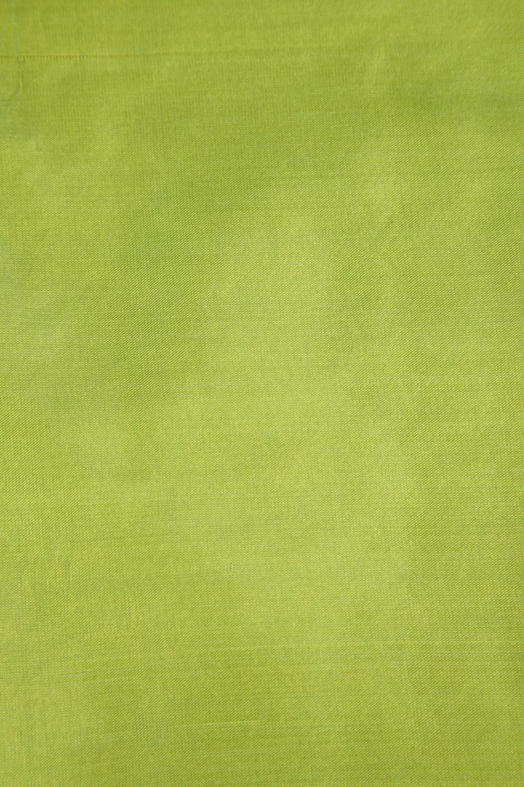 Lime Green Soft Silk Saree Gold Zari with Floral Patterns view 3