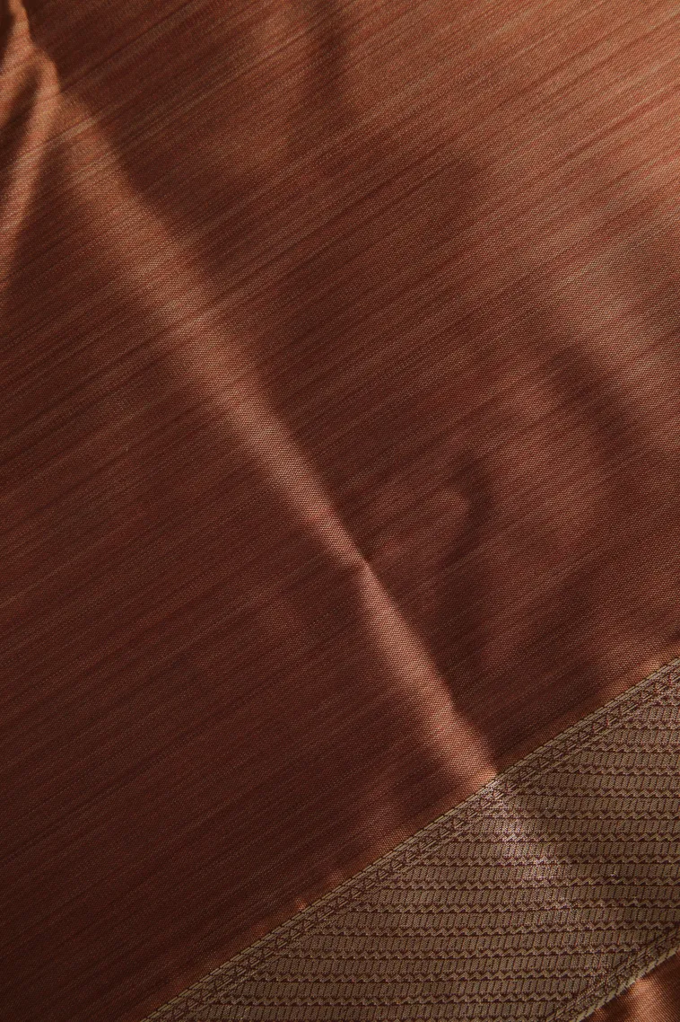 Peanut Brown Soft Silk Sarees with Bronze Zari Floral Patterns view 3