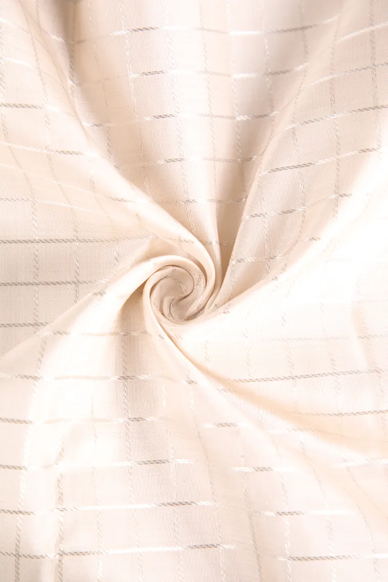 Cotton White Kanchipuram Silk Sarees with Silver Zari Checks view 4