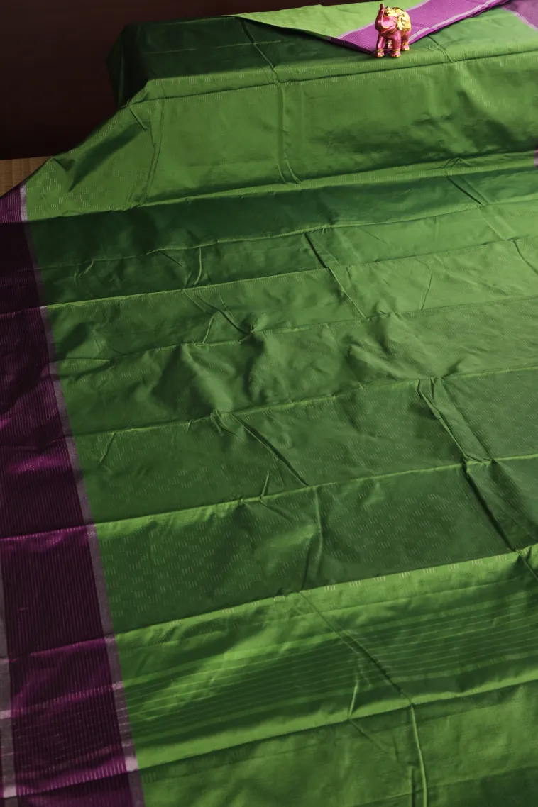 Pear Green Arani Silk Sarees with Silver Zari Horizontal Model view 2