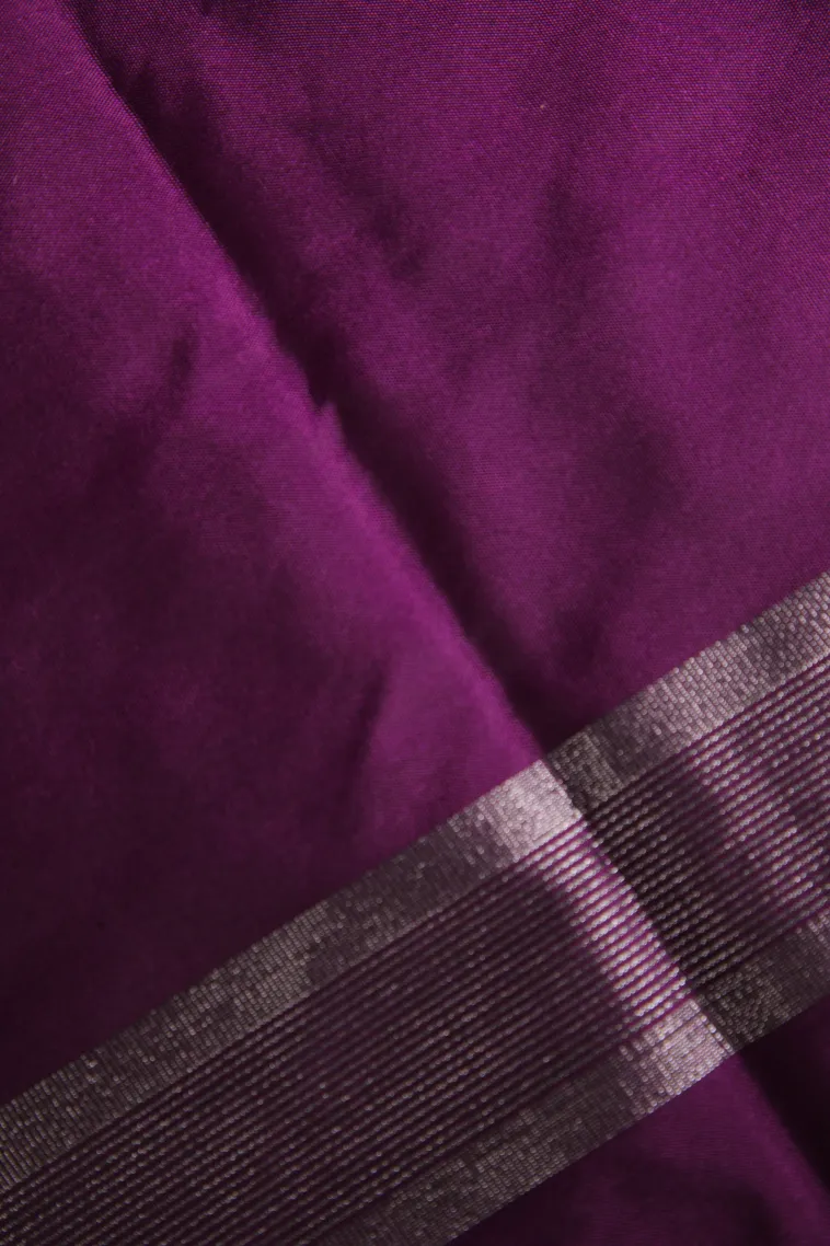 Pear Green Arani Silk Sarees with Silver Zari Horizontal Model view 3