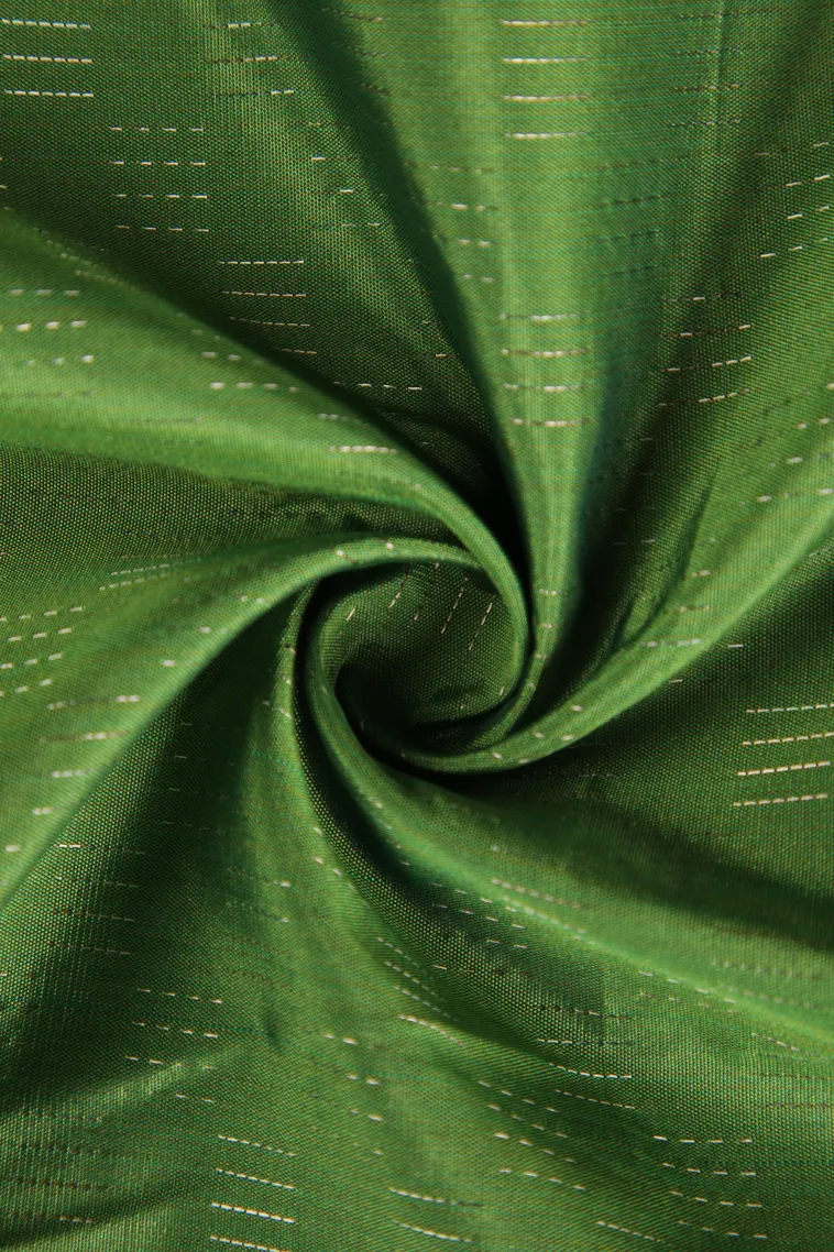Pear Green Arani Silk Sarees with Silver Zari Horizontal Model view 4