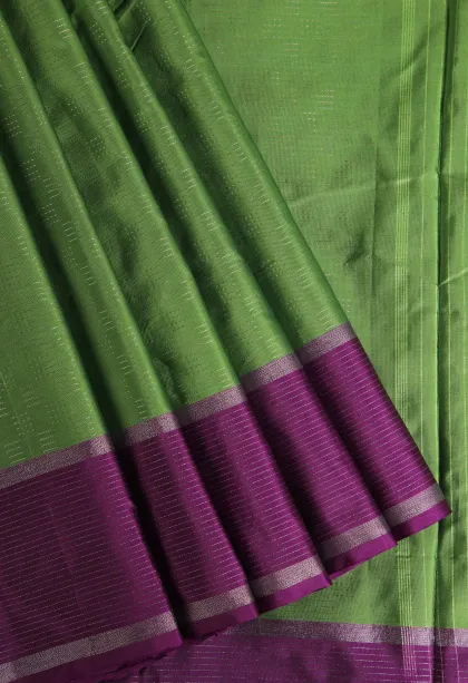 Pear Green Arani Silk Sarees with Silver Zari Horizontal Model