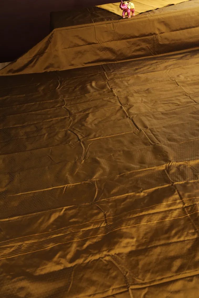 Peanut Brown Arani Silk Sarees with Gold Zari Stripes view 2