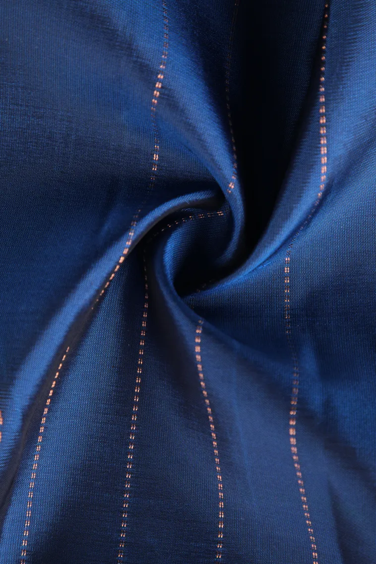 Admiral Blue Soft Silk Saree with Copper Zari Straipes And Puttas view 4