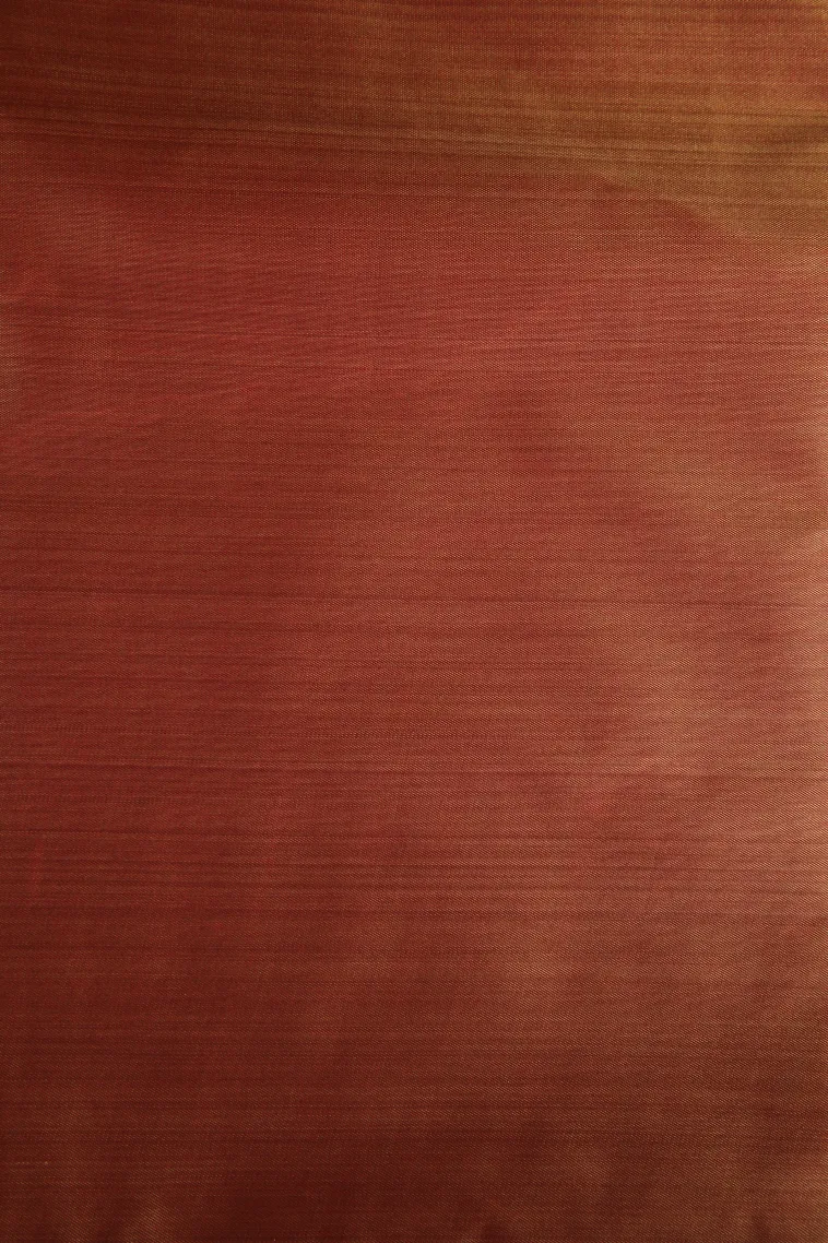 Clay Orange Soft Silk Sarees Without Zari With Floral Patterns view 3