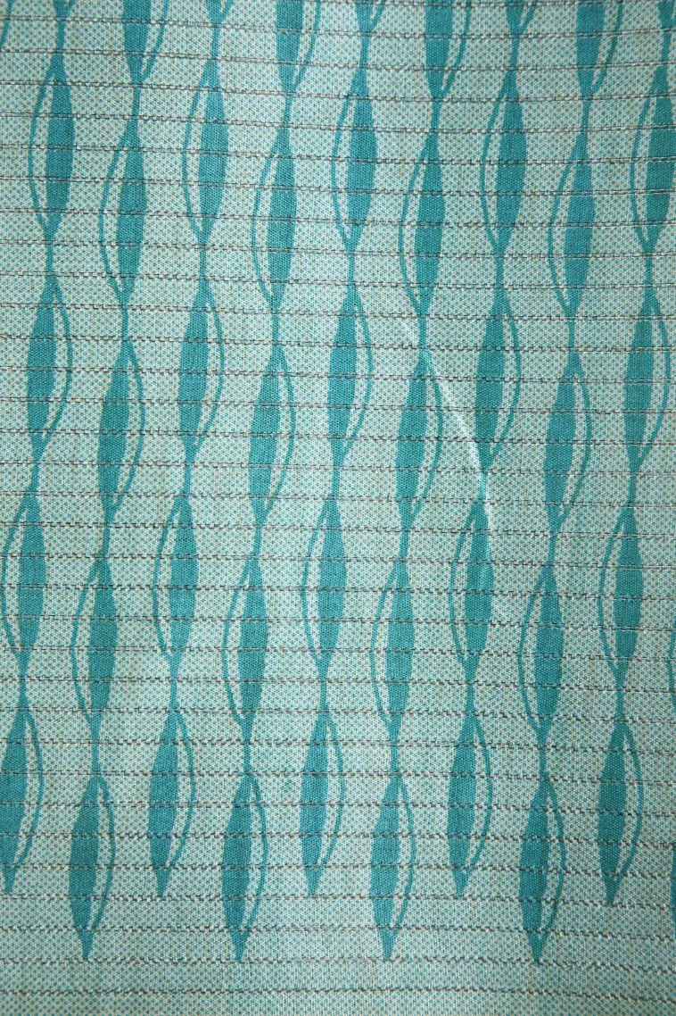Sky Blue Tussar Saree Without Zari With Animal Mottif view 3