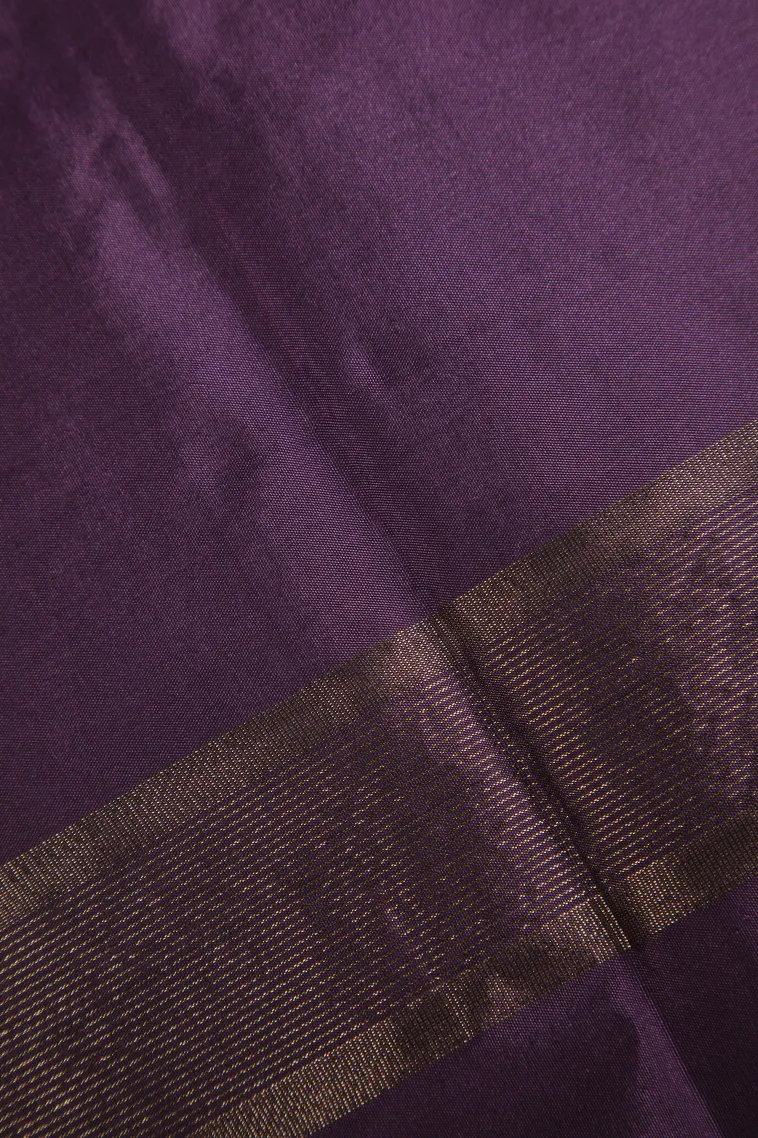 Asphalt Black Arani Silk Sarees with Gold Zari Horizontal Model view 3