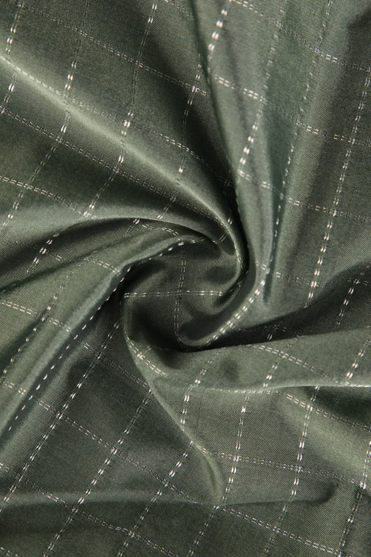 Pistachio Green Arani Silk Sarees with Silver Zari Checks view 4