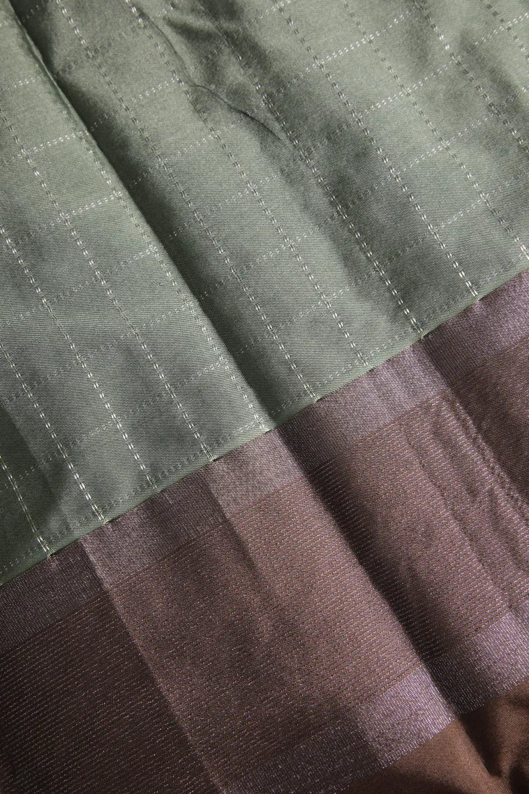 Pistachio Green Arani Silk Sarees with Silver Zari Checks view 3