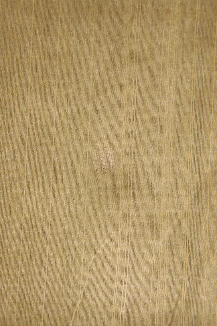 Sand Yellow Tussar Saree Without Zari With Stripes view 3