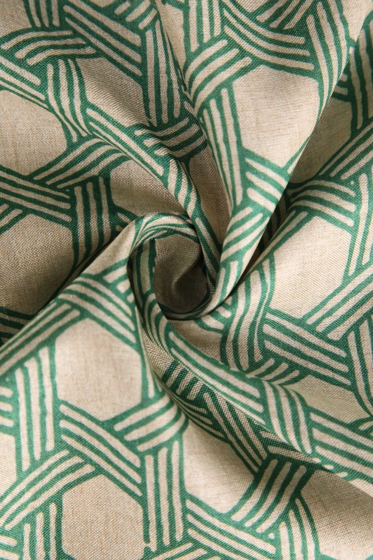 Seaweed Green Semi Raw Silk Printed Without Zari With Geometric Shapes view 4