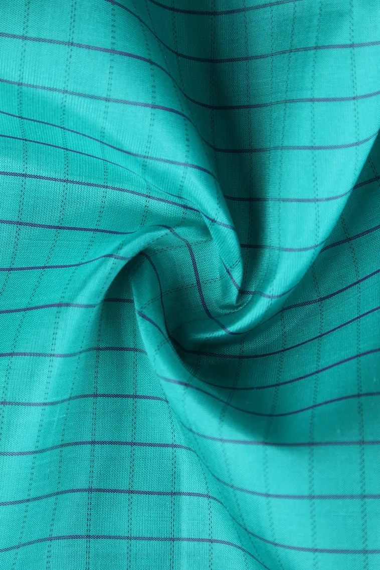 Sky Blue Soft Silk Saree with Silver Zari Checks view 4