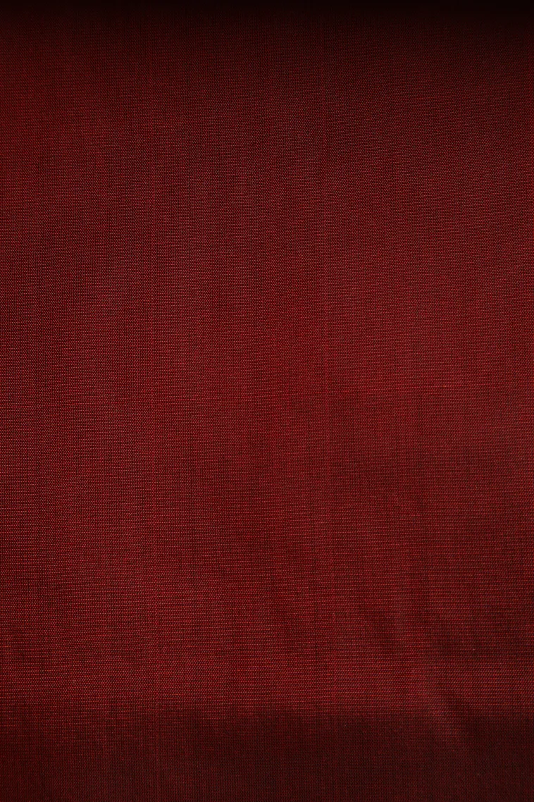 Caramel Brown Soft Silk Saree with Copper Zari Straipes And Puttas view 3
