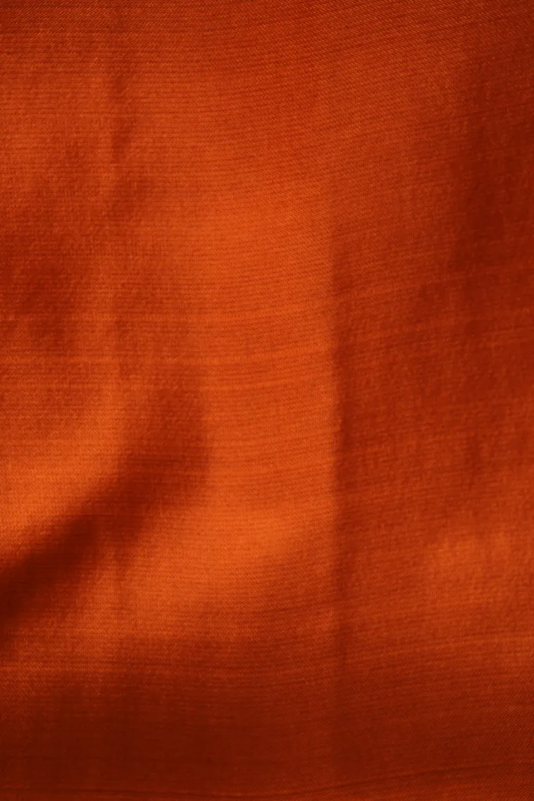 Pistachio Green Soft Silk Saree with Copper Zari Stripes view 3