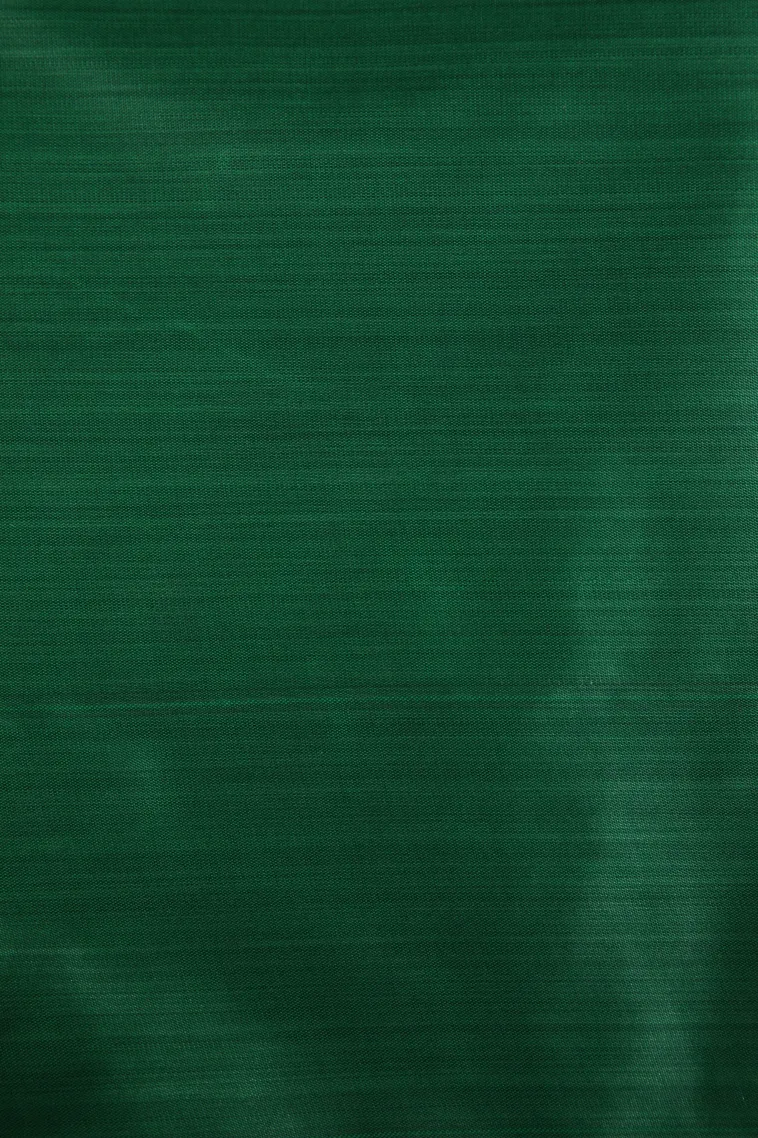 Parakeet Green Soft Silk Sarees Without Zari With Floral Patterns view 3