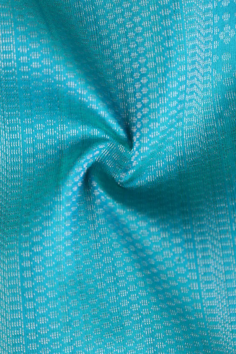 Sky Blue Soft Silk Saree with Silver Zari Floral Patterns view 4