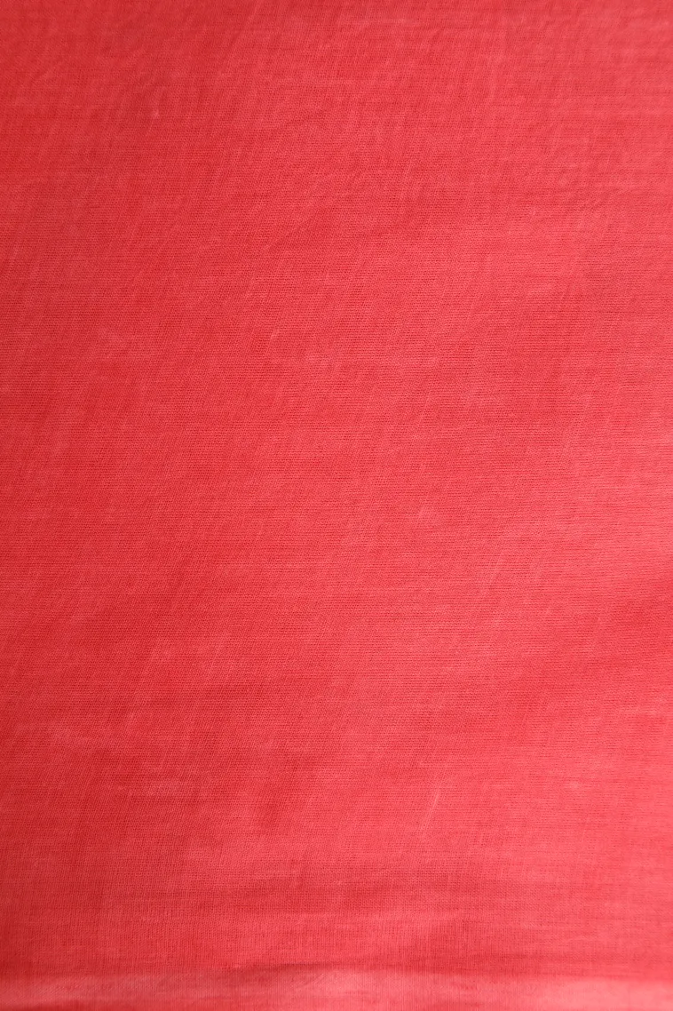 Strawberry Pink Mul Mul Cotton Without Zari With Pathik Motifs view 3