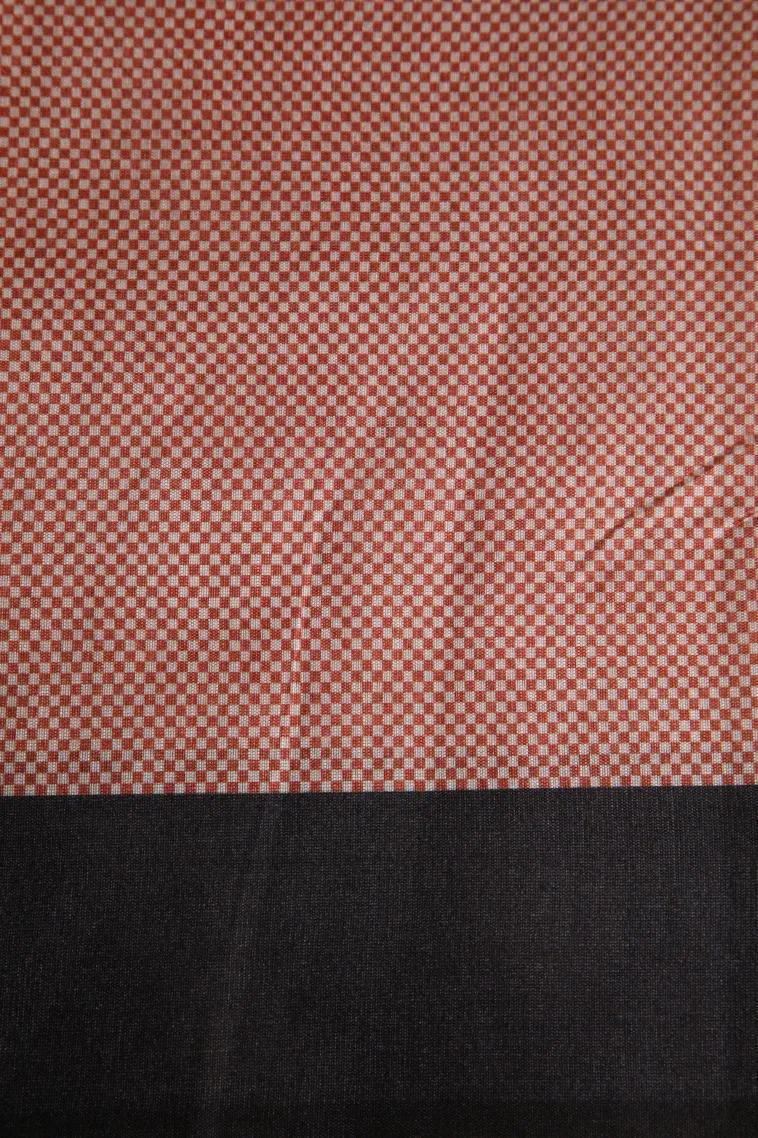 Fire Orange Tussar Saree with Antic Zari Jamandery Pattern view 3