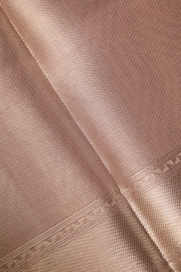 Peach Pink Organza Saree with Bronze Zari Floral Patterns view 3