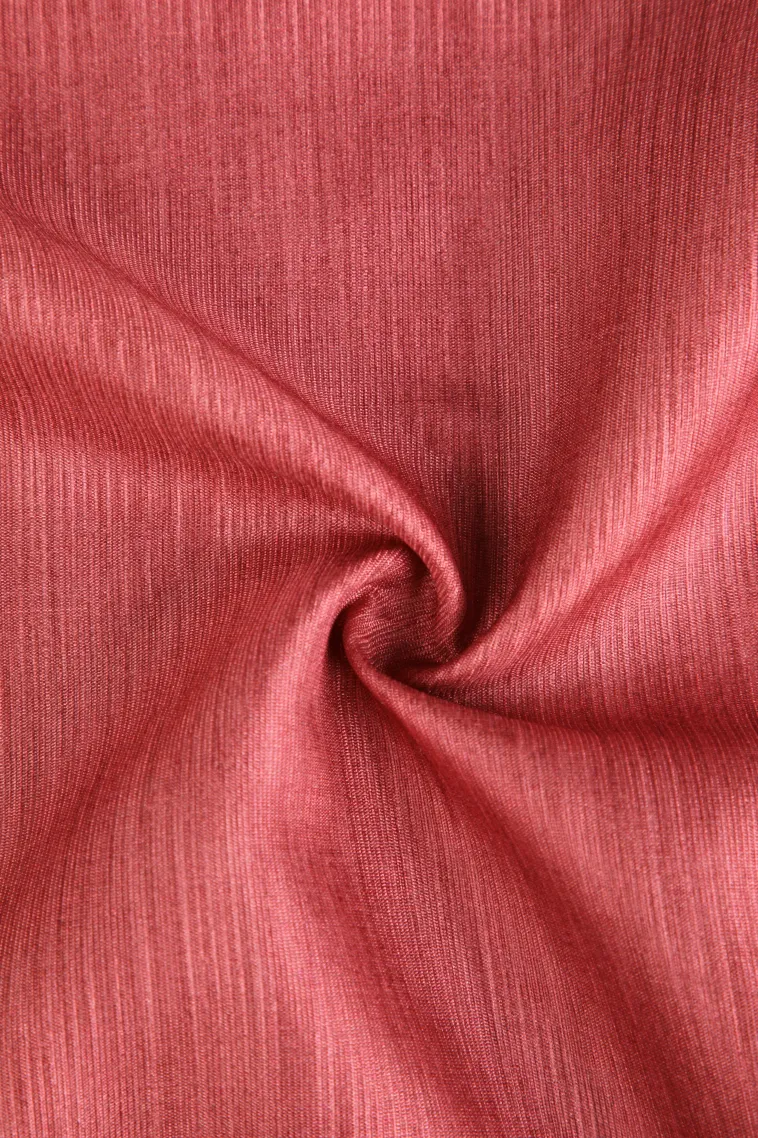 Blush Red Fancy Saree with Thread Zari Plain With Border view 4