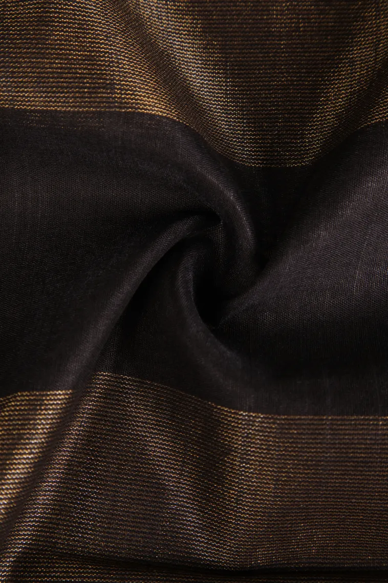 Asphalt Black Semi Tussar Silk with Gold Zari Stripes view 4
