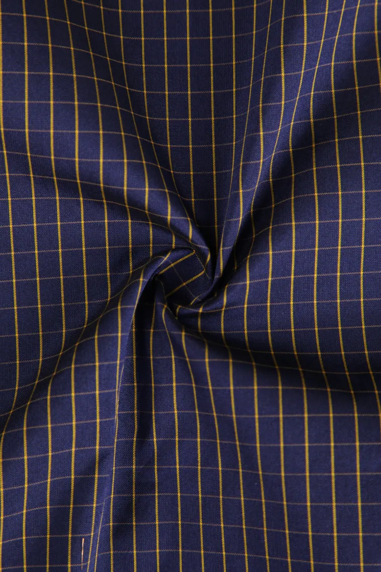 Indigo Blue Soft Silk Saree with Gold Zari Checks And Puttas view 4