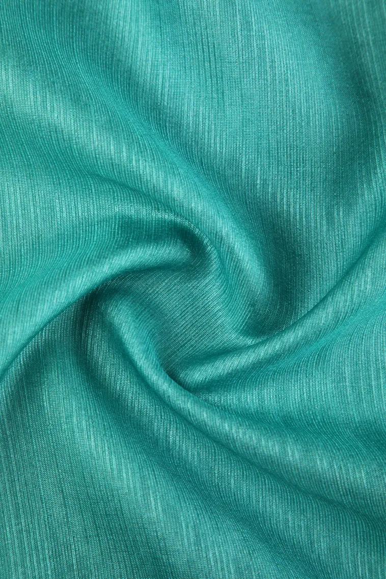 Arctic Blue Fancy Saree with Thread Zari Plain With Border view 4