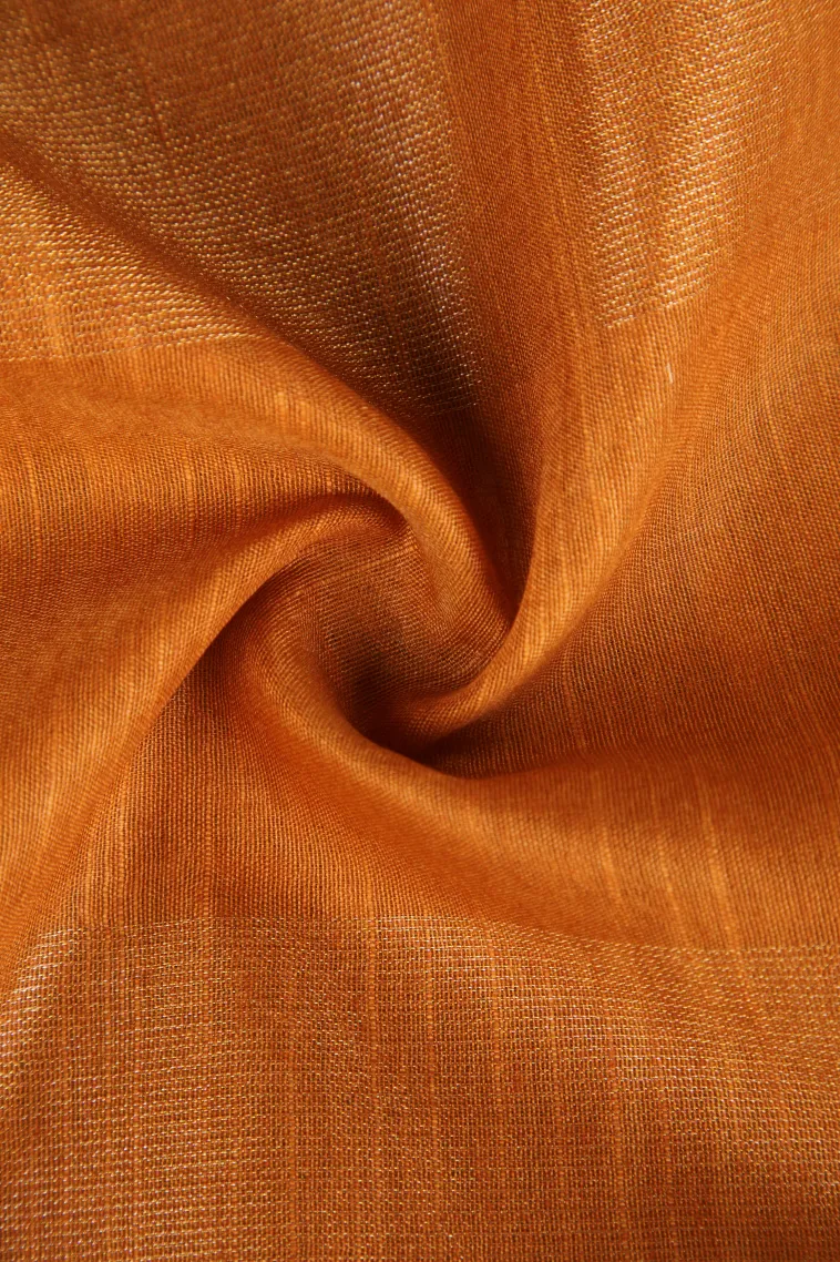 Gold Semi Tussar Silk with Gold Zari Stripes view 4