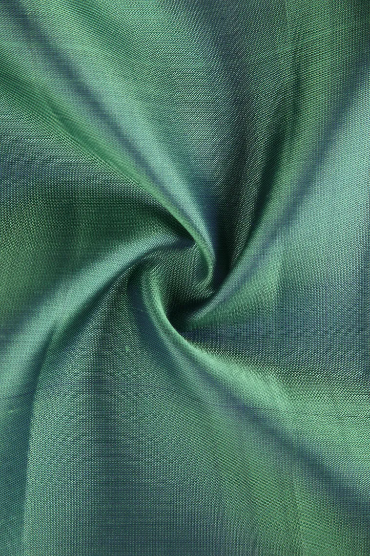 Pistachio Green Soft Silk Saree with Gold Zari Buttis (small Dots Or Motifs) view 4