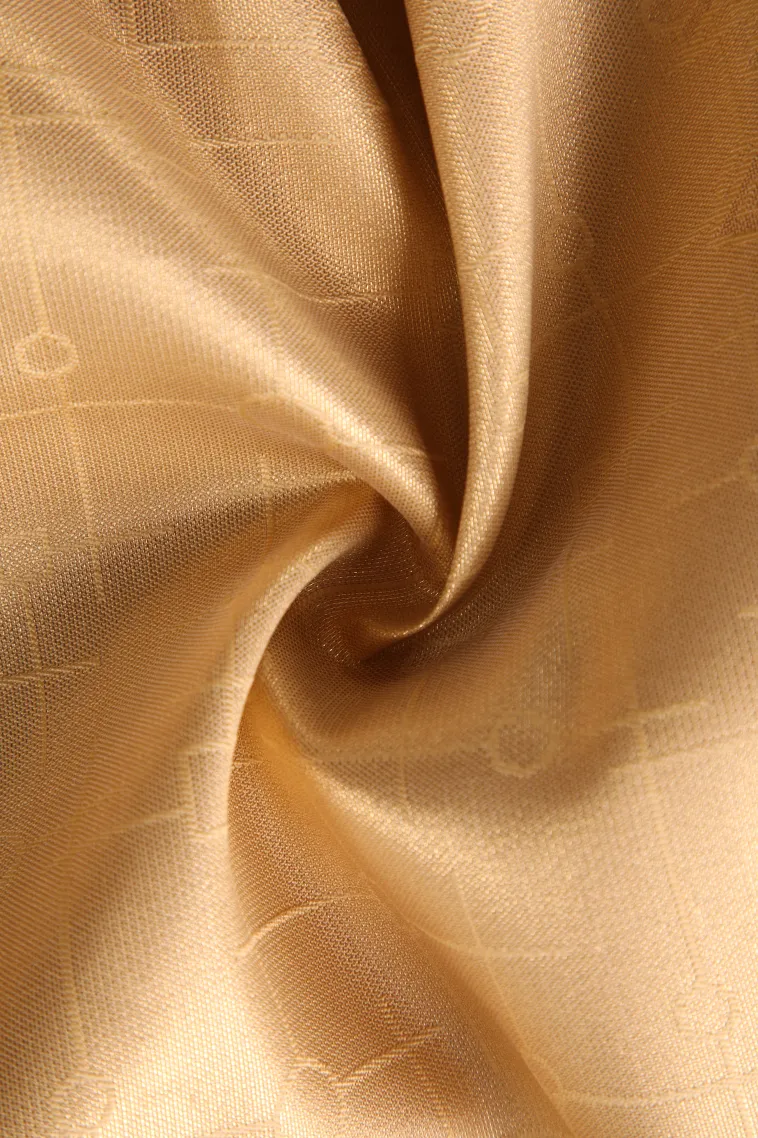 Sandollar Yellow Apoorva Silk Sarees with Bronze Zari Geometric Shapes view 4