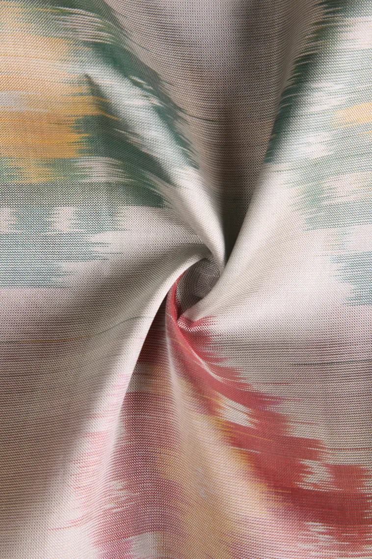 Coconut White Pochampalli Saree Without Zari With Floral Patterns view 4