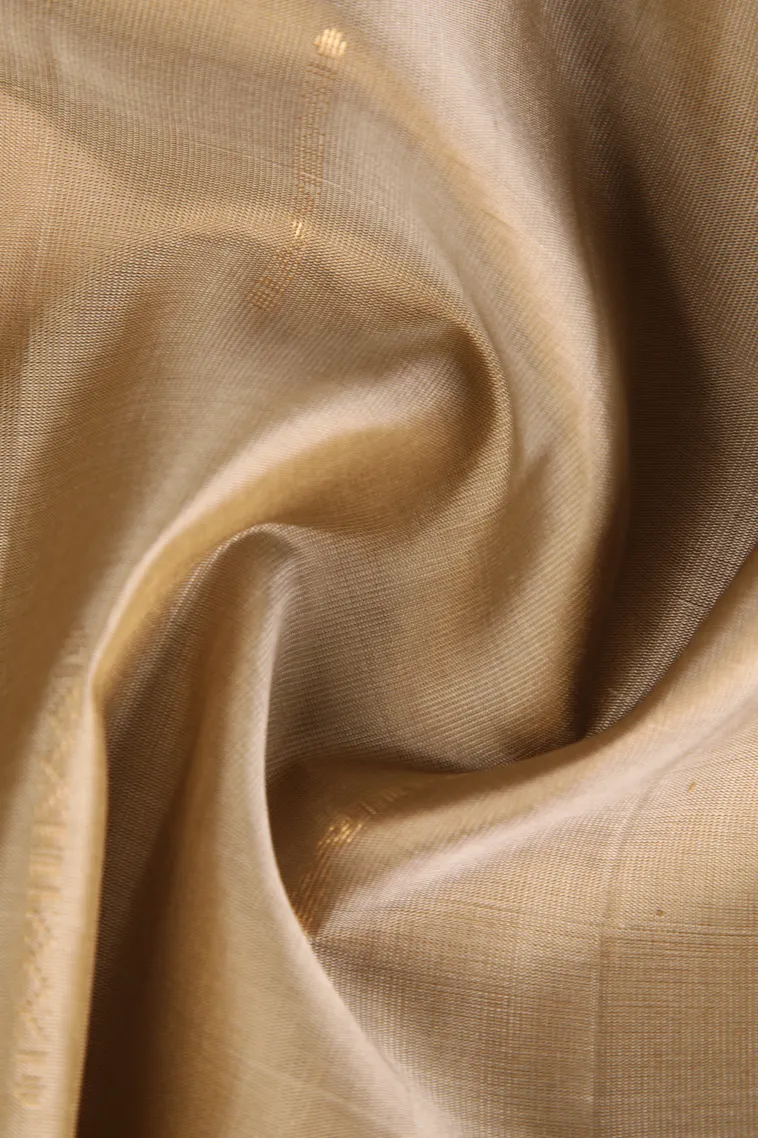 Tortilla Brown Soft Silk Saree with Gold Zari Temple Pattern view 4