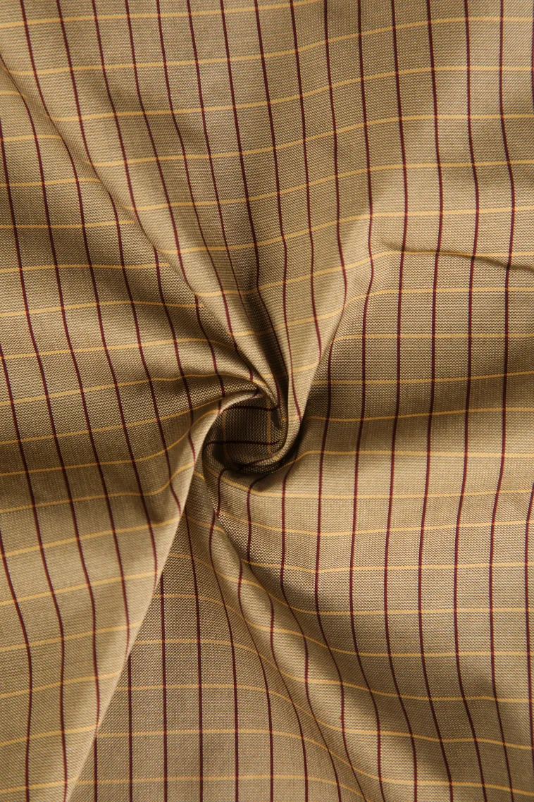 Tortilla Brown Soft Silk Saree with Gold Zari Checks And Puttas view 4