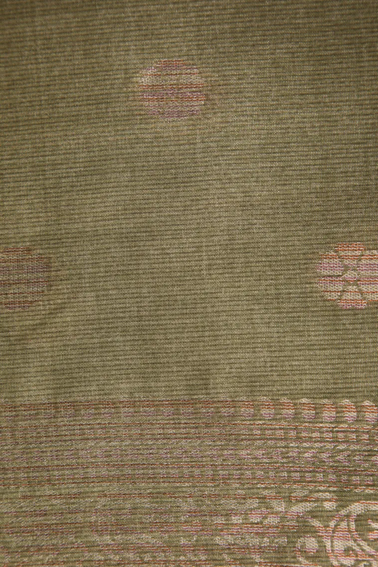 Sage Green Tussar Saree Without Zari With Jamandery Pattern view 3