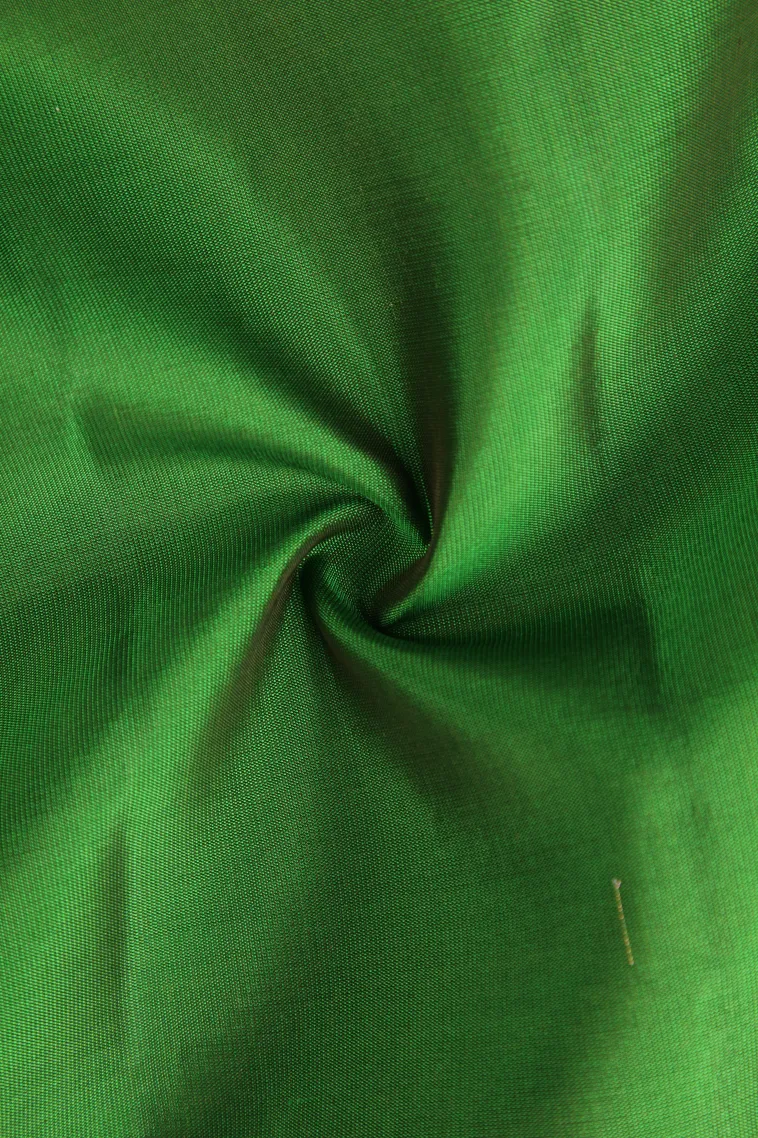 Paris Green Soft Silk Saree with Gold Zari Kodi Pattern view 4