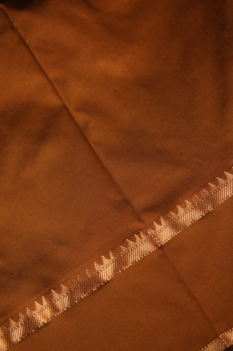 Tawny Brown Soft Silk Saree with Gold Zari Buttis (small Dots Or Motifs) view 3