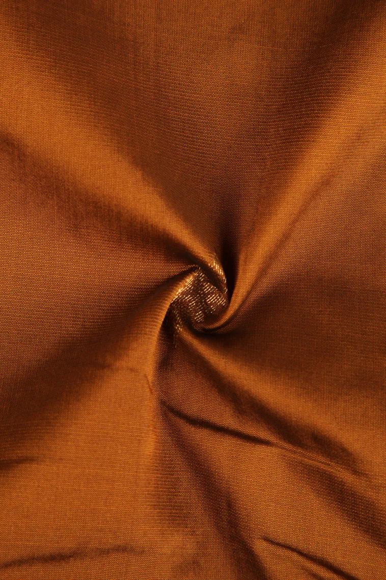 Tawny Brown Soft Silk Saree with Gold Zari Buttis (small Dots Or Motifs) view 4