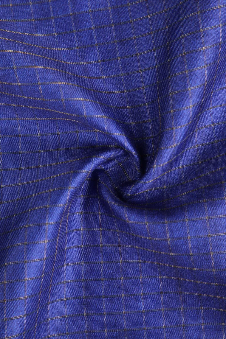 Azure Blue Tussar Saree with Gold Zari Checks view 4