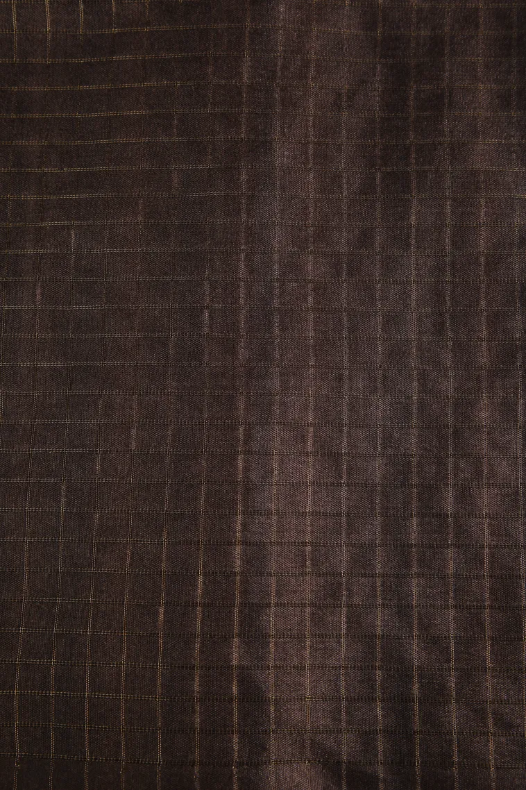 Azure Blue Tussar Saree with Gold Zari Checks view 3