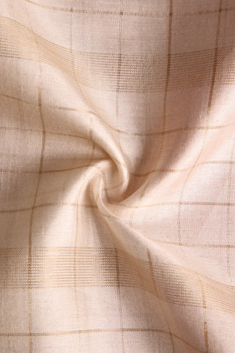 Ivory White Tussar Saree with Gold Zari Checks view 4
