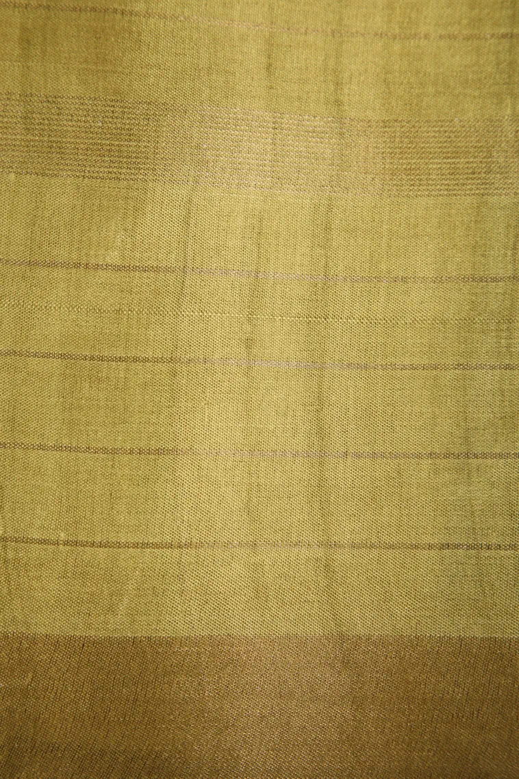 Ivory White Tussar Saree with Gold Zari Checks view 3
