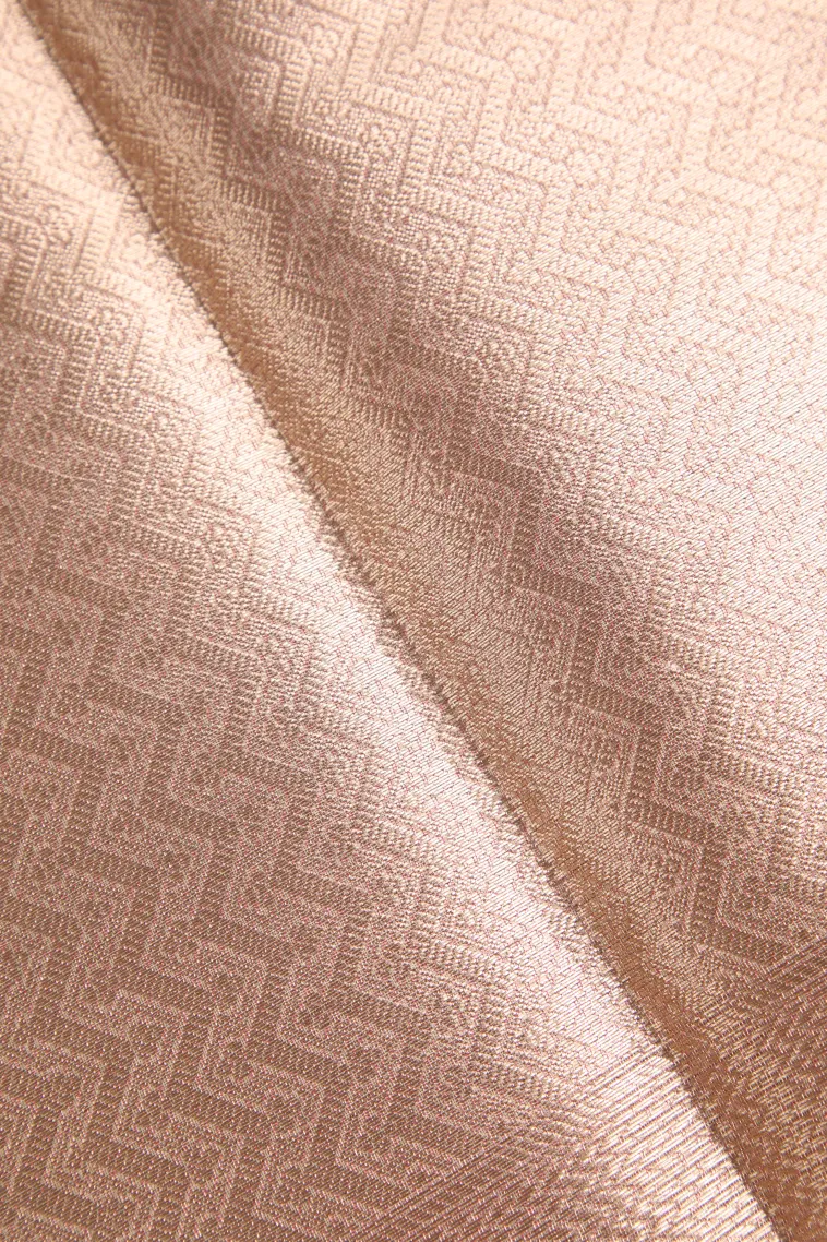 Rose Pink Organza Saree with Bronze Zari Floral Patterns view 3