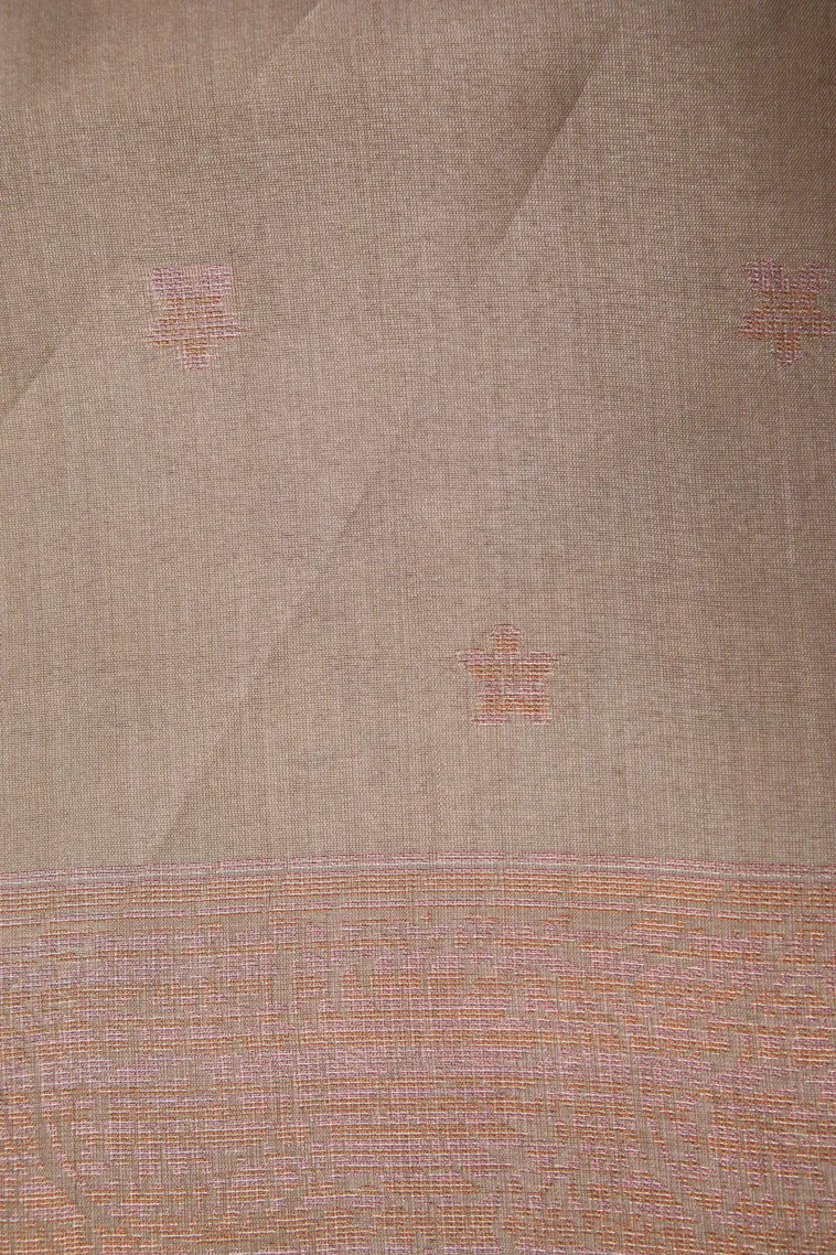 Salt White Tussar Saree with Antic Zari Kodi Pattern view 3