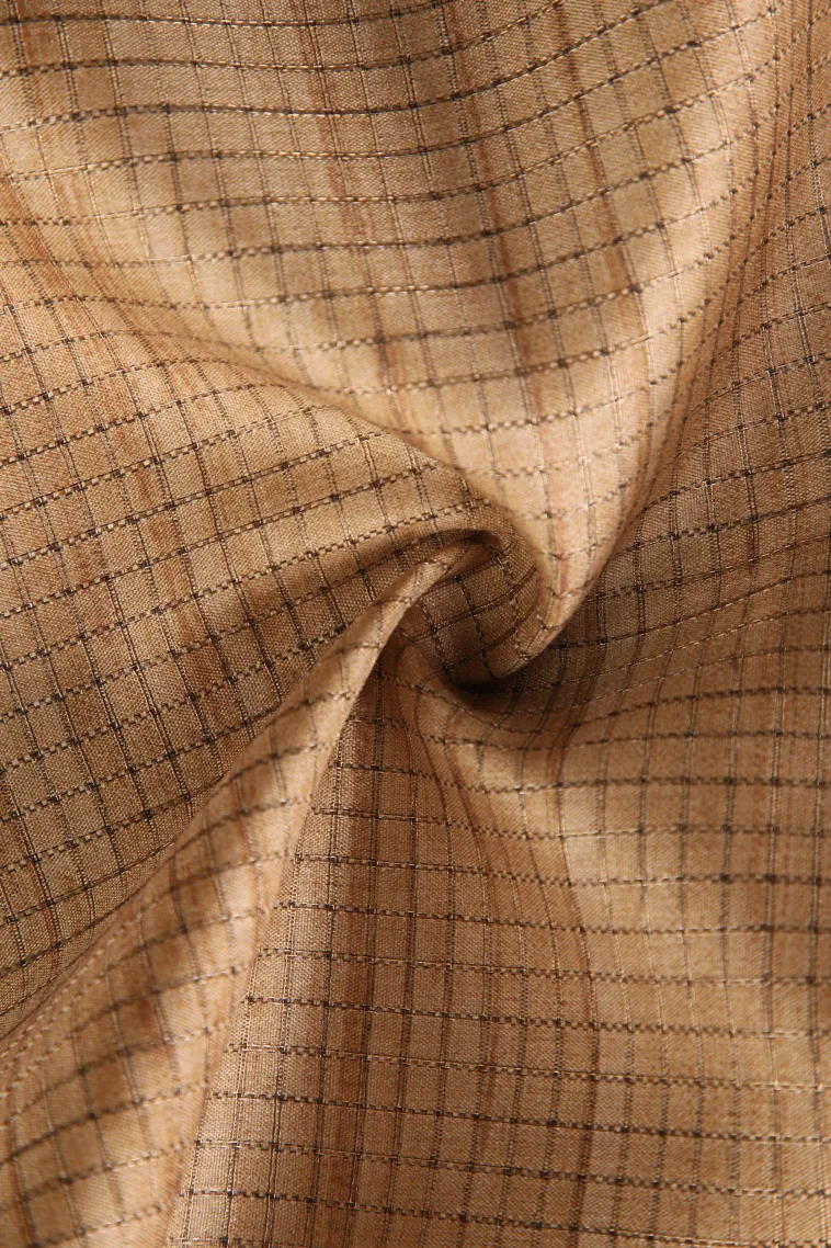 Tortilla Brown Tussar Saree with Copper Zari Small Checks Pattern view 4