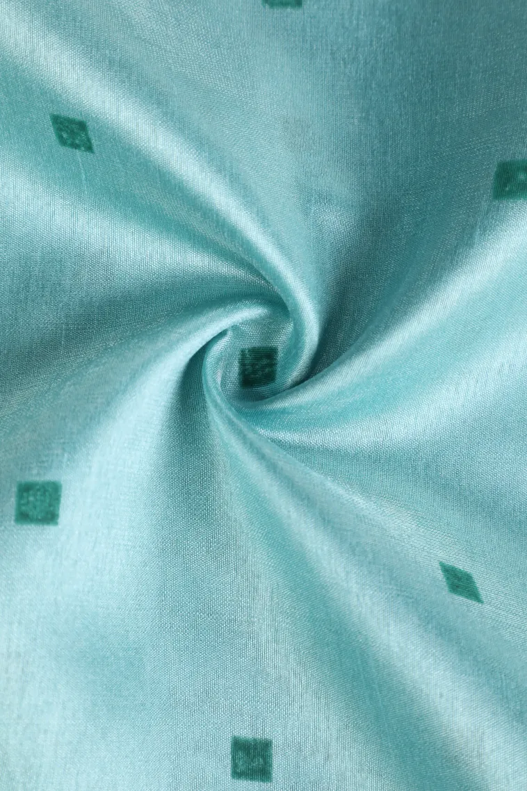 Sky Blue Semi Tussar Silk Without Zari With Birds Mottif view 4