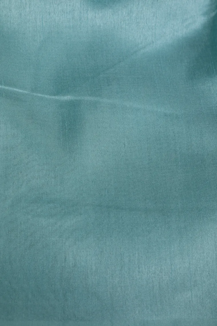 Sky Blue Semi Tussar Silk Without Zari With Birds Mottif view 3