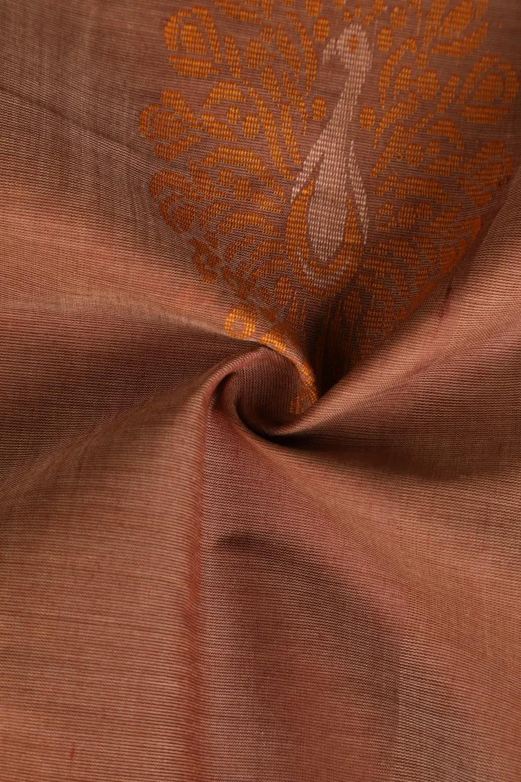 Peanut Brown Pure Handloom Kovai Cotton with Gold Zari Peacock Motifs view 4