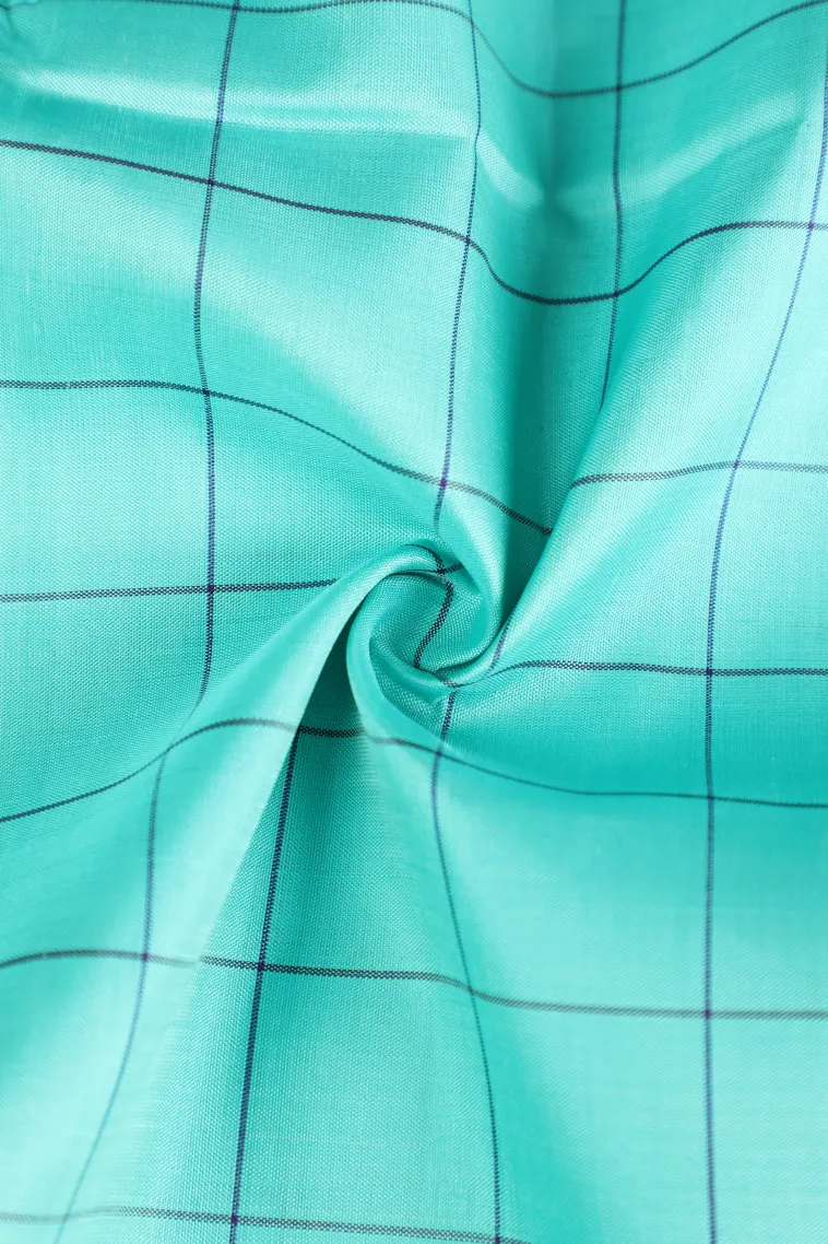 Arctic Blue Kanchipuram Silk Sarees with Gold Zari Checks view 4